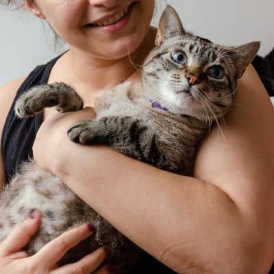 Why Choose DSM Pet Care Club - Trusted Sitters