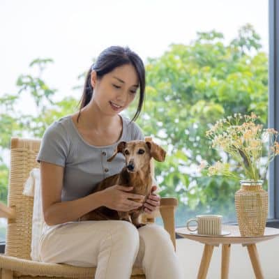 Woman sitting on chair with small dog pet sitting in Iowa